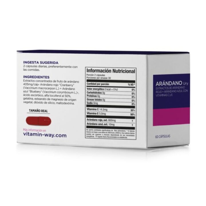 Arandano URY  x 60 - Image 2
